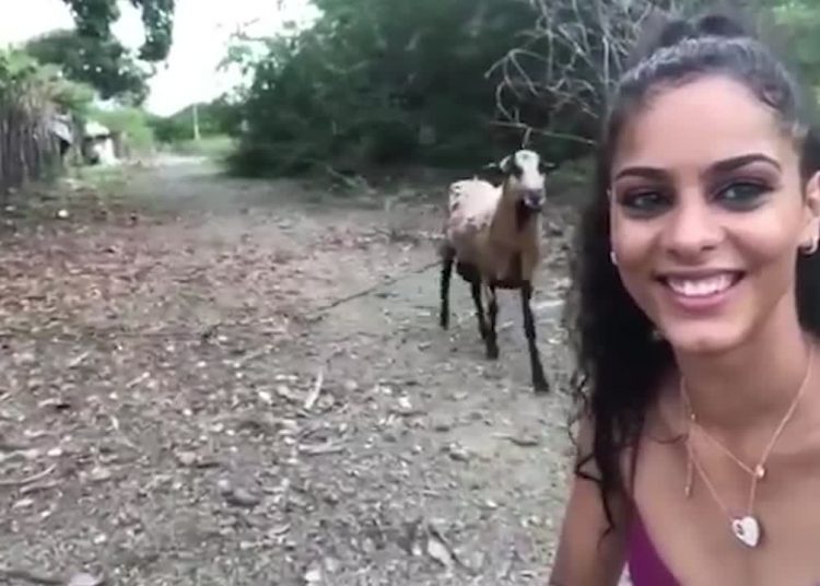 ¡Increíble! fue atacada por una cabra mientras intentaba sacarse una selfie