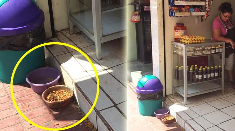 Destacan gesto de unos comerciantes que a diario alimentan a los perros de la calle