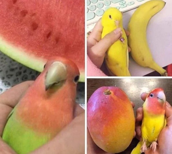 Imágenes que te darán hambre sin ser comida