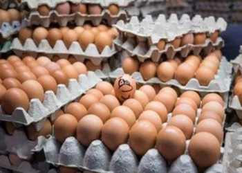 Le apostó a un amigo que podía comer 50 huevos y perdió la vida cuando le faltaban 8