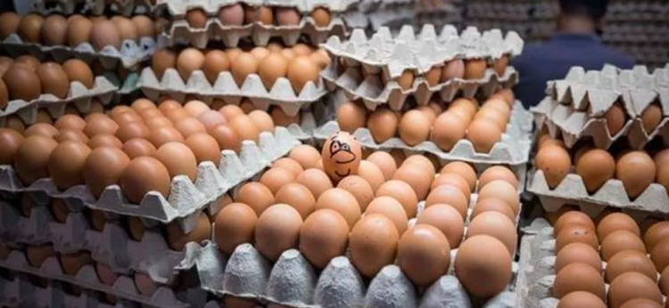 Le apostó a un amigo que podía comer 50 huevos y perdió la vida cuando le faltaban 8
