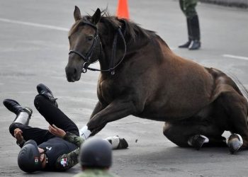 Jinete sufre una aparatosa caída en el desfile del aniversario de la Revolución Mexicana