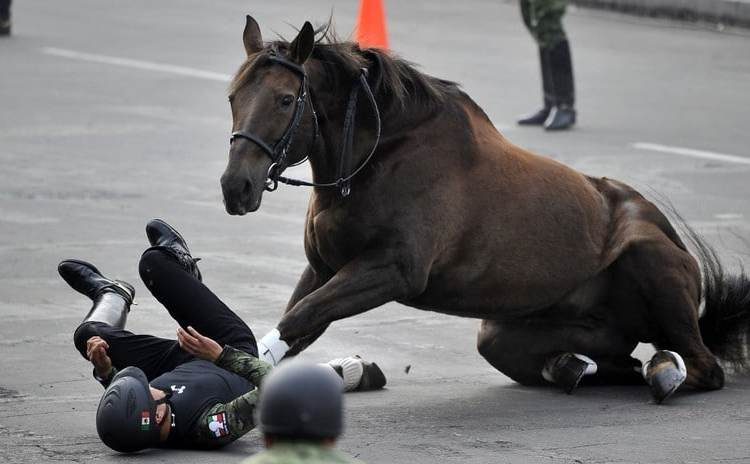 Jinete sufre una aparatosa caída en el desfile del aniversario de la Revolución Mexicana