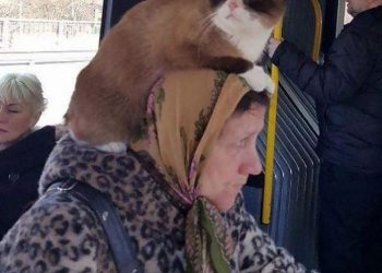 Las cosas más locas vistas en el transporte público