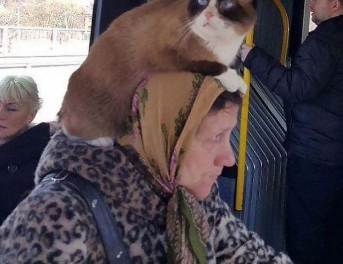 Las cosas más locas vistas en el transporte público