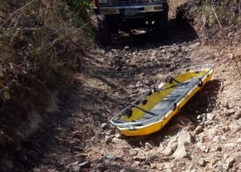 Hombre muere tras ser atacado por abejas en San Miguel