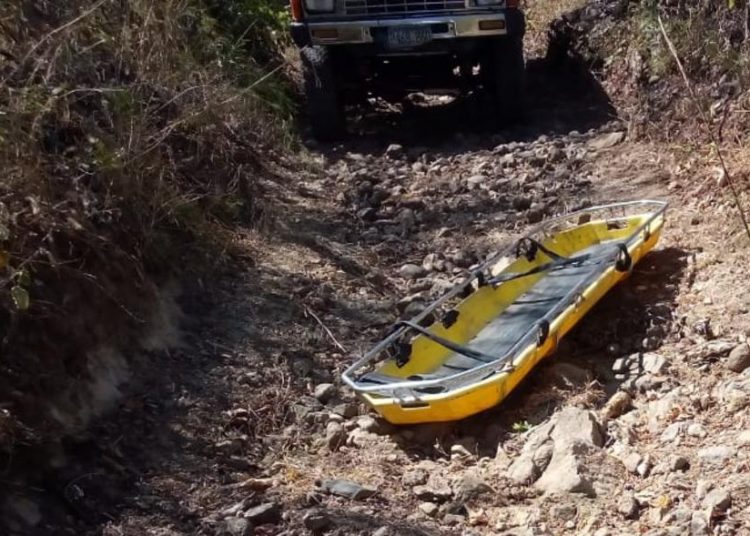 Hombre muere tras ser atacado por abejas en San Miguel