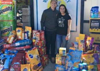Pareja de recién casados pidió como regalo de bodas comida para perros y gatos callejeros