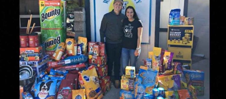 Pareja de recién casados pidió como regalo de bodas comida para perros y gatos callejeros
