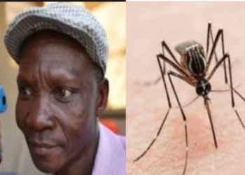 Hombre descubre que sus gases eliminan mosquitos y una empresa lo contrata para hacer repelentes