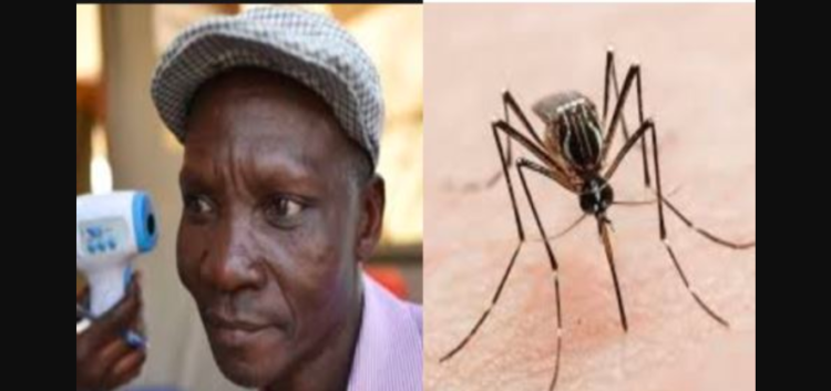 Hombre descubre que sus gases eliminan mosquitos y una empresa lo contrata para hacer repelentes