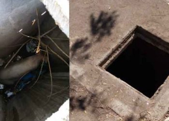 Bomberos rescatan a angustiada cerdita preñada que cayó a un tragante lleno de basura