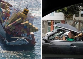 Imágenes muy particulares que te dejarán a cuadros