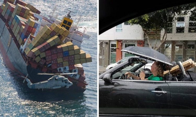 Imágenes muy particulares que te dejarán a cuadros