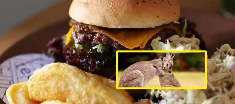 Indignación por restaurante que vende hamburguesas hechas con carne de canguro