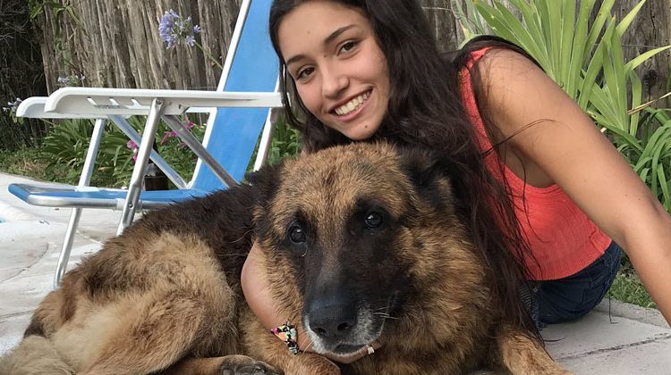 Intenta sacarse una selfie con el chucho pero termina con el rostro desfigurado