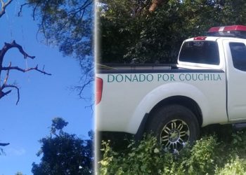 Hombre pierde la vida tras caer de un árbol de gran altura en San Miguel