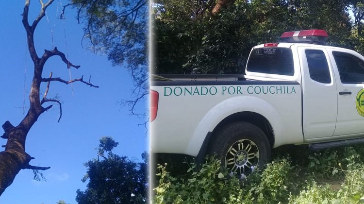 Hombre pierde la vida tras caer de un árbol de gran altura en San Miguel