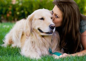 Estas con las 3 recomendaciones para cuidar la salud mental de los perros