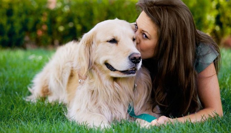 Estas con las 3 recomendaciones para cuidar la salud mental de los perros