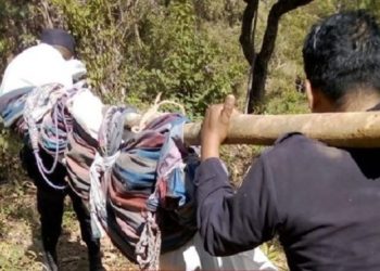 Revelan fotos de la escena donde pandilleros fueron «eliminados» al enfrentarse a la PNC