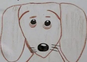 Niño busca a su perrita por medio de dibujos porque no tiene fotos de ella