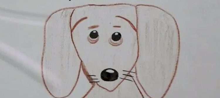 Niño busca a su perrita por medio de dibujos porque no tiene fotos de ella