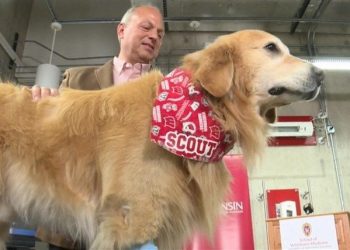 Salvaron a su perro y pagó con un millonario aviso en el Super Bowl