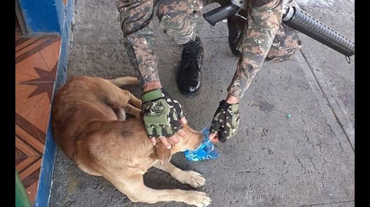 Aplauden gesto de militar salvadoreño que calmó la sed de un perrito callejero