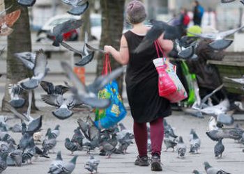Palomas ‘acosan’ a una mujer durante la cuarentena por la escasez de comida en las calles vacías