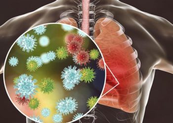 Las fases en que el coronavirus infecta el cuerpo
