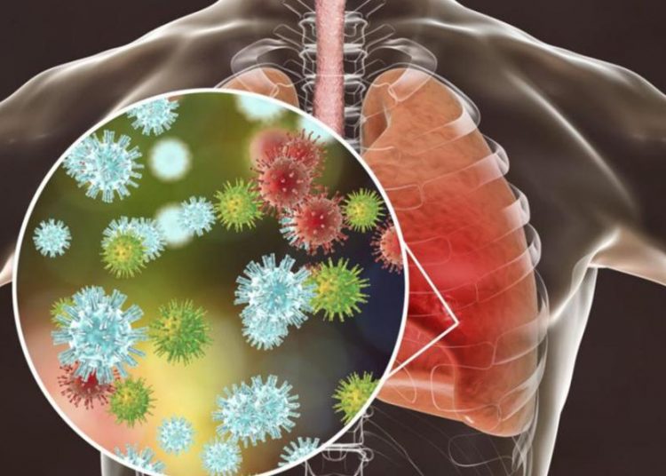 Las fases en que el coronavirus infecta el cuerpo