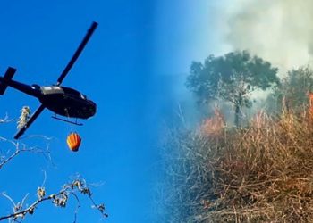 Fuerza Aérea y Bomberos unen esfuerzos para sofocar incendio parque Walter Thilo Deininger