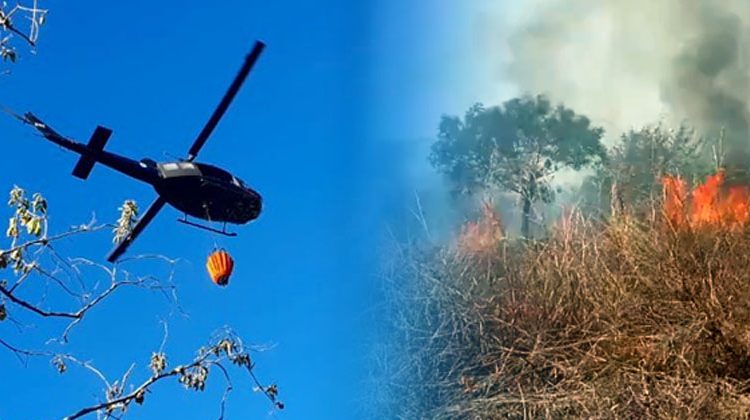 Fuerza Aérea y Bomberos unen esfuerzos para sofocar incendio parque Walter Thilo Deininger