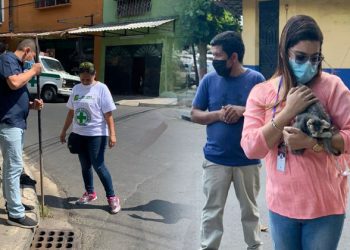Rescatan un par de gatitos que alguien lanzó en una alcantarilla en Santa Tecla