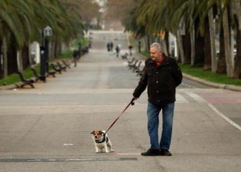 Las cosas que hacíamos con nuestro perro antes de la cuarentena