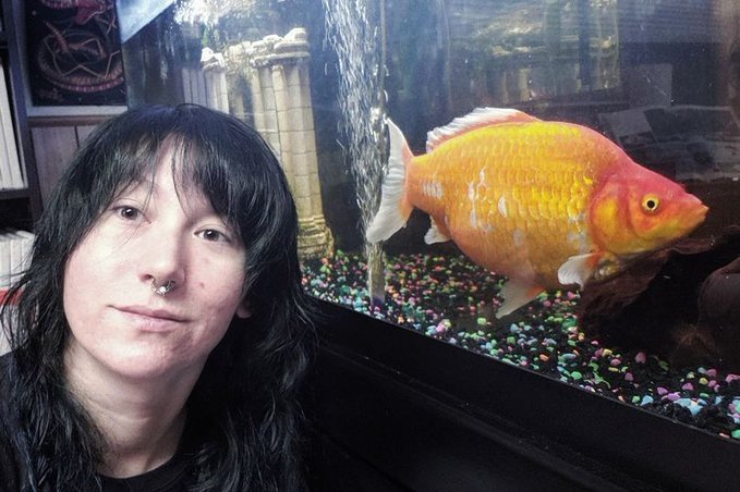 Lleva a casa un pez dorado pero resulta ser un ‘monstruo’ carnívoro