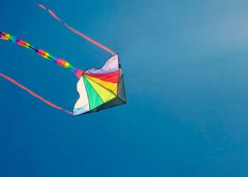 Graban a un mono volando una cometa mientras los humanos están confinados