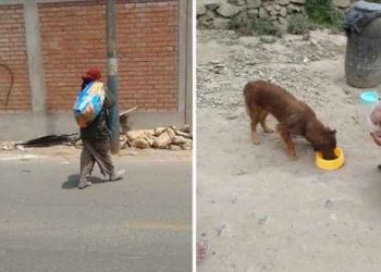 Joven se disfraza de mendigo para alimentar a perritos callejeros tras la cuarentena impuesta por el COVID-19
