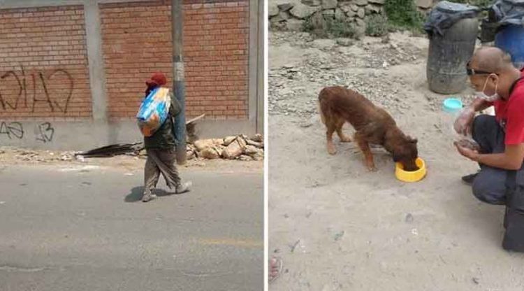 Joven se disfraza de mendigo para alimentar a perritos callejeros tras la cuarentena impuesta por el COVID-19