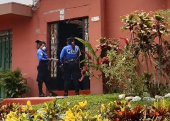 Multarán hasta con $900 a persona que abandonó unos gatitos en San Salvador
