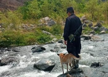“Ranger”, el perro que se une a la PNC en la primera linea de combate para prevenir el coronavirus