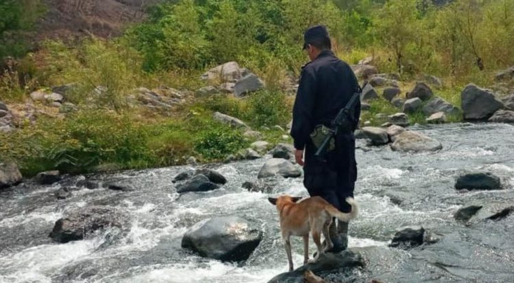 “Ranger”, el perro que se une a la PNC en la primera linea de combate para prevenir el coronavirus