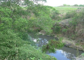 Tras varios días de cuarentena, las aguas del Río Sucio en La Libertad se vuelven cristalinas