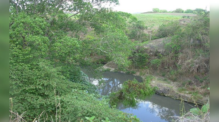 Tras varios días de cuarentena, las aguas del Río Sucio en La Libertad se vuelven cristalinas