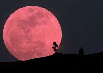 ¿Qué es y cómo ver la superluna rosa de abril?