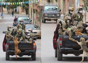 Militares rescatan a perritos de la calle durante la cuarentena en Bolivia
