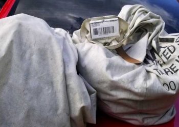 Mujer de Estados Unidos encuentra casi un millón de dólares en la calle y lo entrega a las autoridades