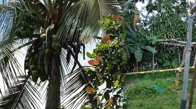 Hombre pierde la vida en Cojutepeque al intentar instalar lámina para evitar que ardillas no molestaran sus cocos