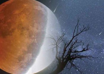 Luna de Trueno, el eclipse para este fin de semana y la lluvia de estrellas que podrás ver en julio